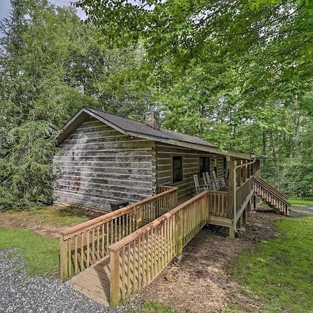 Cozy 'Grey Fox' Cabin Between Boone & Blowing Rock Luaran gambar